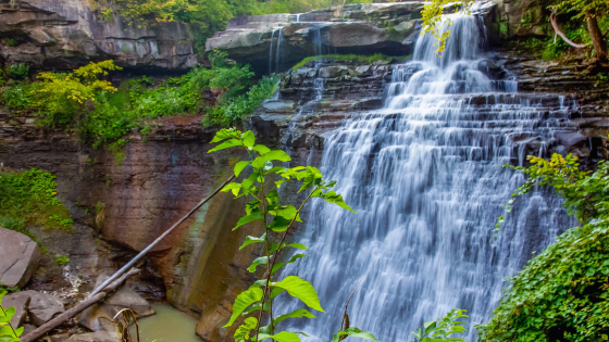 Family-Friendly Attractions to Visit Around Akron and North Canton This Summer | DeHOFF REALTORS