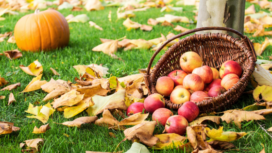 Harvest Season Experiences: Orchards, Farm Markets, and Fall Flavors | DeHOFF REALTORS