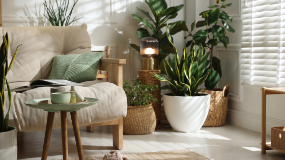 Preparing Your Home for a Late-Winter Listing in Stark and Summit Counties | DeHOFF REALTORS