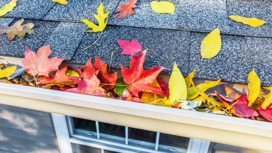 Preparing Your Home for the Seasonal Chill | DeHOFF REALTORS